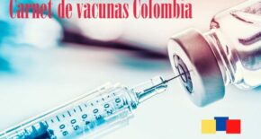 carnet de vacunación colombia importancia