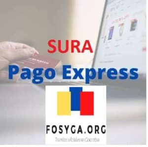 Pago-Express-sura