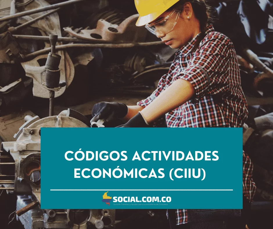 Códigos Actividades Económicas: CIIU DIAN 2023